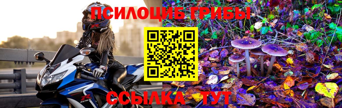 купить   Галлюциногенные грибы GOLDEN TEACHER  Ачинск  Вход с VPN  Псилоцибиновые грибы ЛСД 